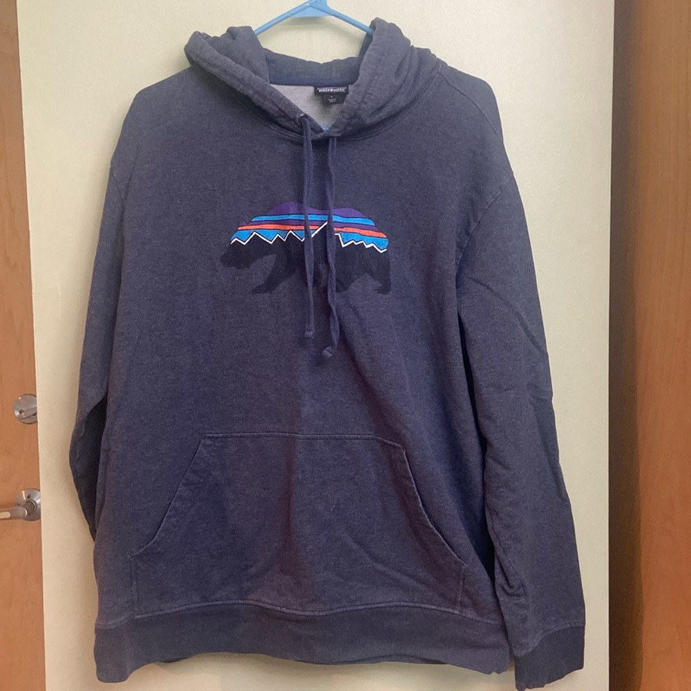 Patagonia hoodie mens size L